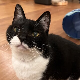 ひざ乗りべたなれ　アイちゃん♪