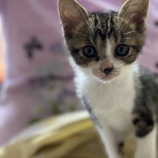 遊んで欲しい男の子