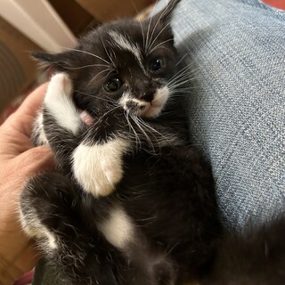 代理投稿　白黒　女の子(お話中です)