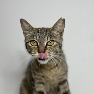 三兄弟のママ　一歳未満の若ママ　すりすり甘えん坊