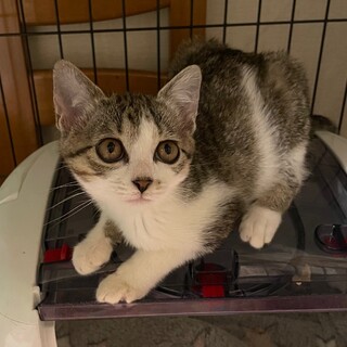 タレ目がキュートなメグちゃん♡