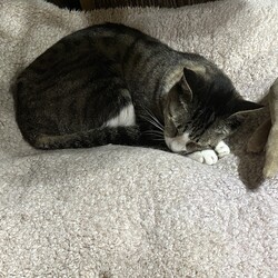 「お久しぶりです」サムネイル2