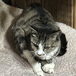 「お久しぶりです」サムネイル3