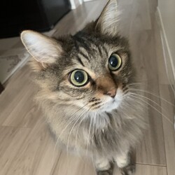 元気にしてます