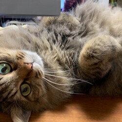 「元気にしてます」サムネイル2