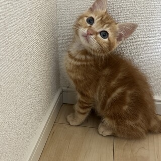 里親決定！かい　2ヶ月