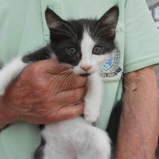 人懐っこいナナちゃん