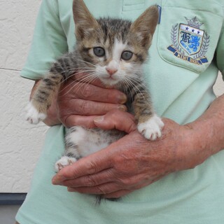 人懐っこいチャロちゃん