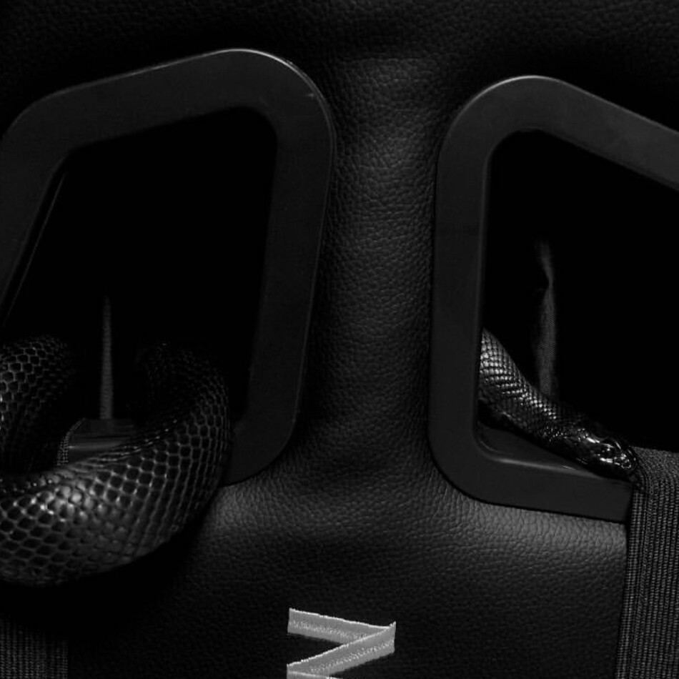 くろまめのカバー写真