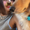 ばうんでぃ