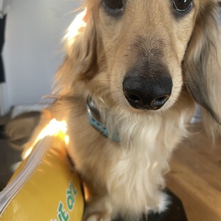 皆さん本当にありがとうございました。