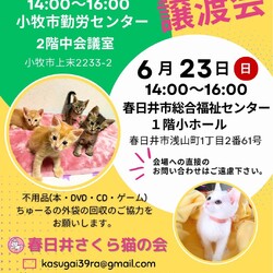 保護猫の譲渡会in春日井