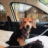 ドライブ大好き