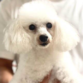 24-W146 美しすぎる女の子です！