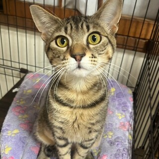 8/4津田沼ෆ⃛甘えん坊女子ෆ⃛ぽつりんちゃん