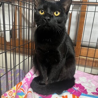 6/23稲毛海岸ෆ⃛大人しいෆ⃛あまたつくん