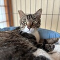 人馴れバツグン！ギャオくん♡