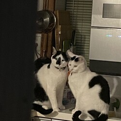 「コウちゃん、水脈探検倶楽部」サムネイル1