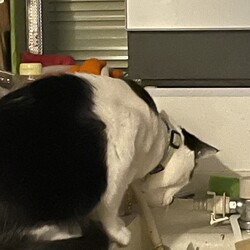 「コウちゃん、水脈探検倶楽部」サムネイル2