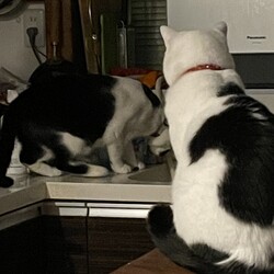 「コウちゃん、水脈探検倶楽部」サムネイル3