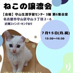 ねこの譲渡会 in守山生涯学習センター