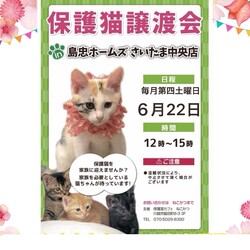 6/22（土）島忠ホームズさいたま中央店保護猫譲渡会