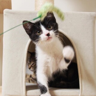 【7/15芝浦相談】無邪気に遊ぶ美少年★ユパくん