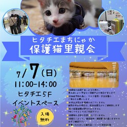 ヒタチエまちにゃか保護猫里親会