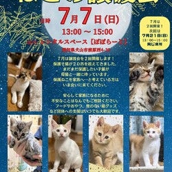 猫の譲渡会 @レンタルスペースぽぽらーと