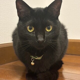 とってもヤンチャで運動神経抜群！★れんくん