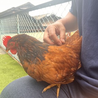 とても優しい里親様と出会えました。