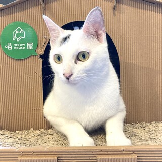 【エラ】ボール遊びが大好きな、人懐っこい男の子