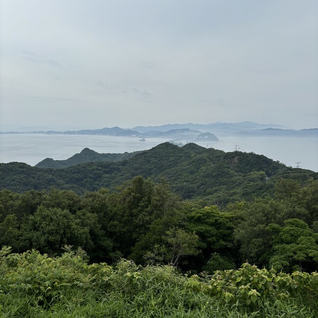 ばぶ0218のカバー写真