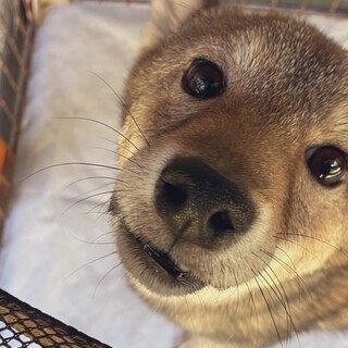 ありがとうございました。