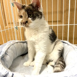 捨てられたのかな？