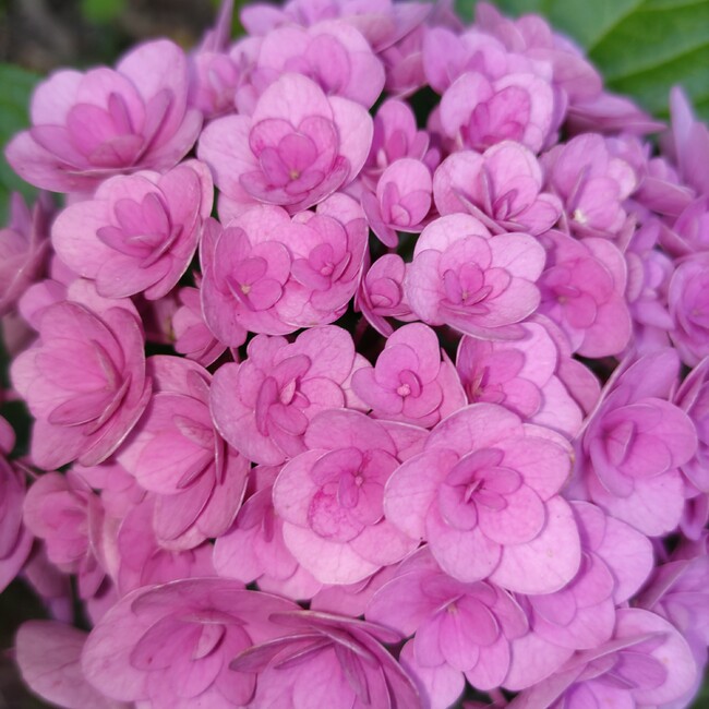 あっちゃん623のカバー写真