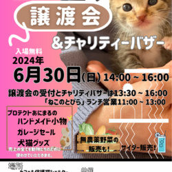 譲渡会＠猪名川町