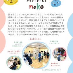 サロンドねこ＆譲渡会 サムネイル2