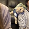 一緒にTV