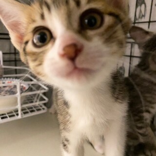 6/23稲毛海岸ෆ⃛好奇心旺盛ෆ⃛りずちゃん