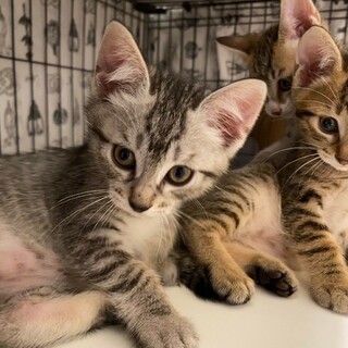 6/23稲毛海岸ෆ⃛活発な女の子ෆ⃛きこちゃん