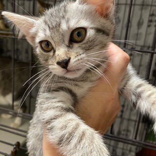 7/28幕張ෆ⃛マイペース女子ෆ⃛りこちゃん