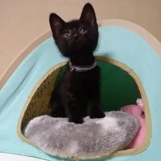 マシューくん☆２ヶ月