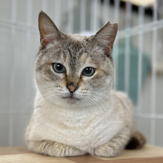 とても素敵なご縁に恵まれました☆彡