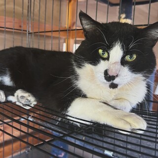 大きなおっとりした男の子◎