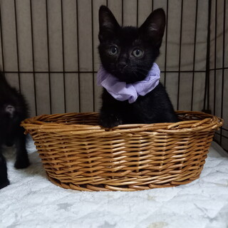 マミーちゃん☆2ヶ月