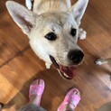 人好き犬好き猫好きな子です♡♡♡