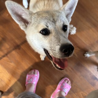 人好き犬好き猫好きな子です♡♡♡