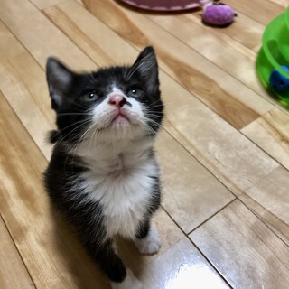 ありがとうございました★可愛らしいオトちゃん