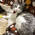 甘えん坊ちゃん